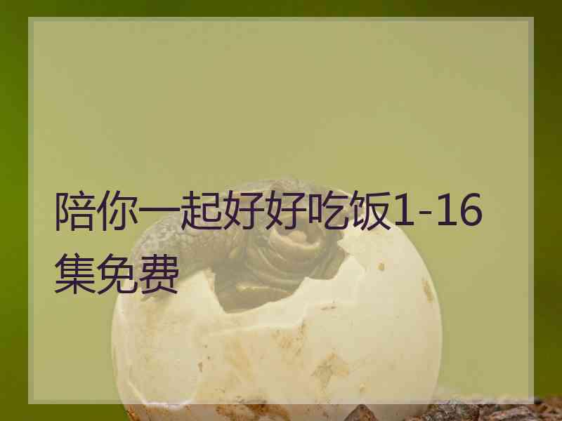陪你一起好好吃饭1-16集免费