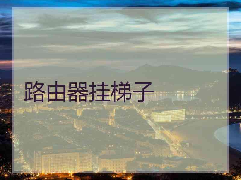 路由器挂梯子