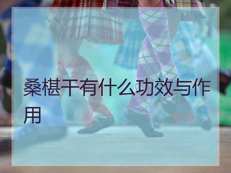 桑椹干有什么功效与作用