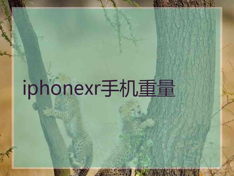 iphonexr手机重量