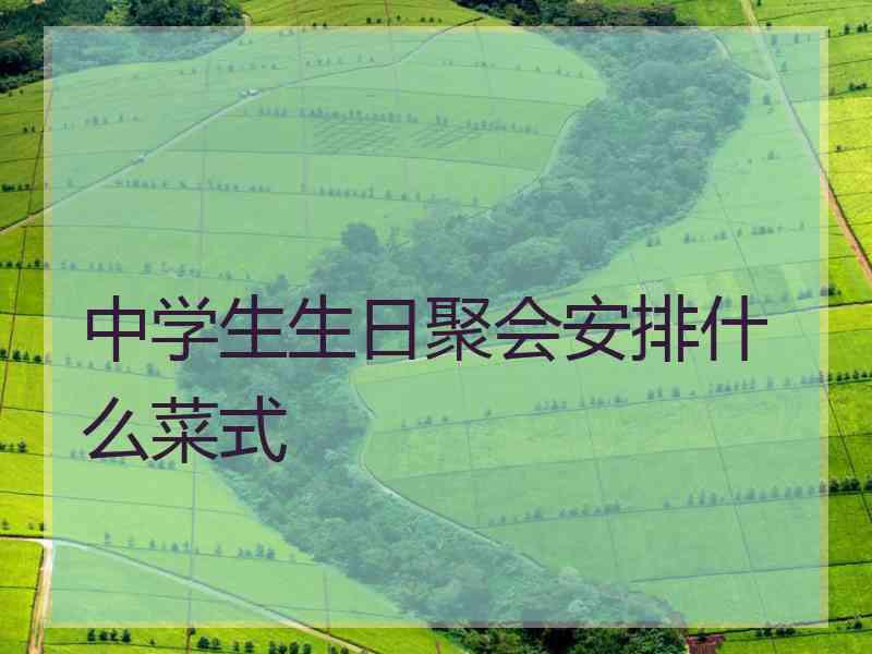 中学生生日聚会安排什么菜式
