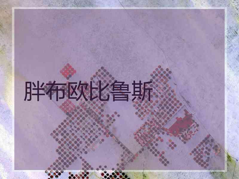 胖布欧比鲁斯