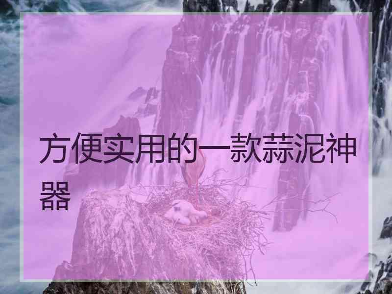 方便实用的一款蒜泥神器