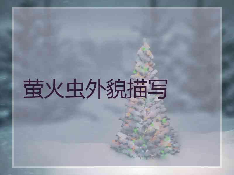 萤火虫外貌描写