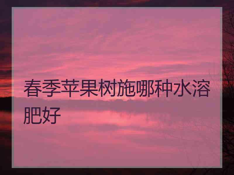 春季苹果树施哪种水溶肥好