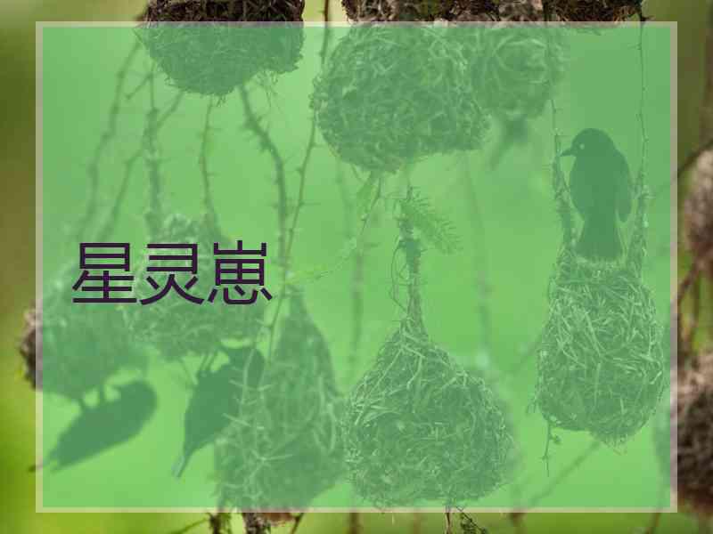 星灵崽