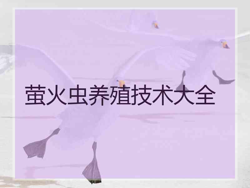 萤火虫养殖技术大全