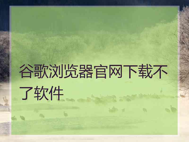 谷歌浏览器官网下载不了软件