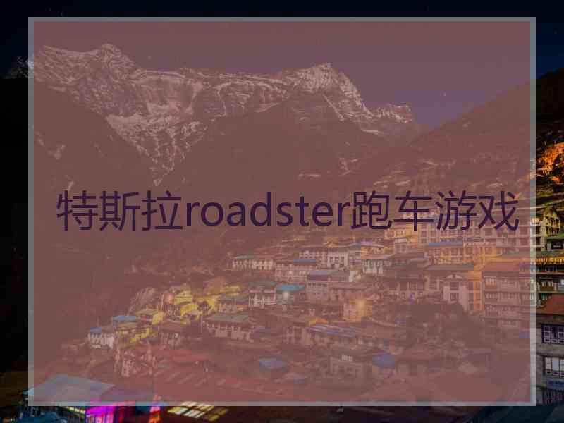 特斯拉roadster跑车游戏