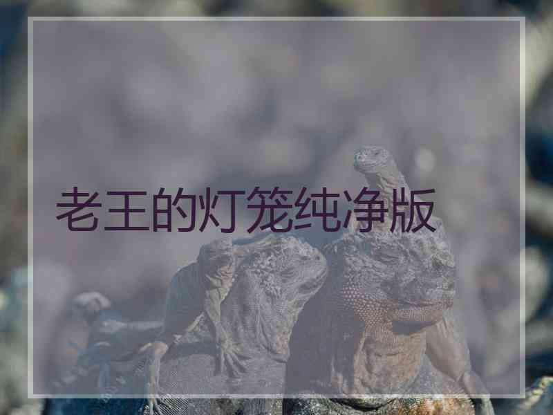 老王的灯笼纯净版