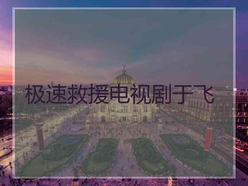 极速救援电视剧于飞