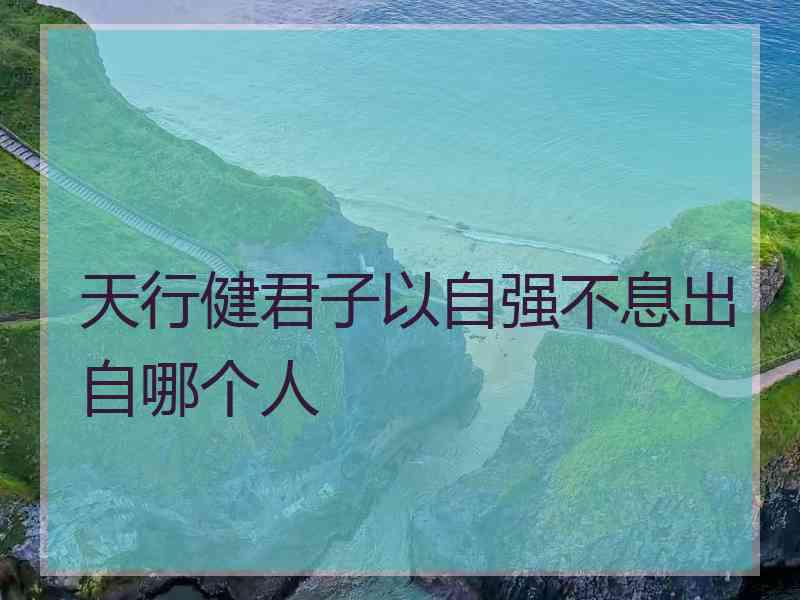 天行健君子以自强不息出自哪个人