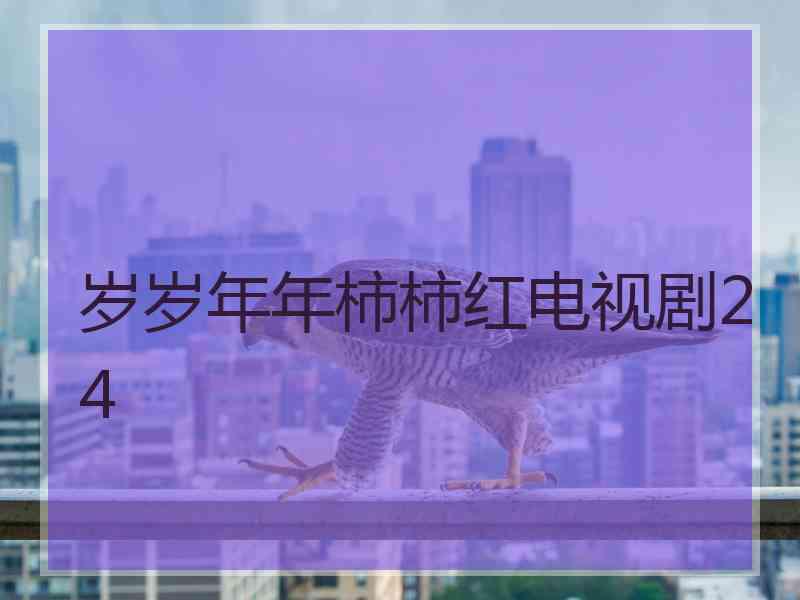 岁岁年年柿柿红电视剧24