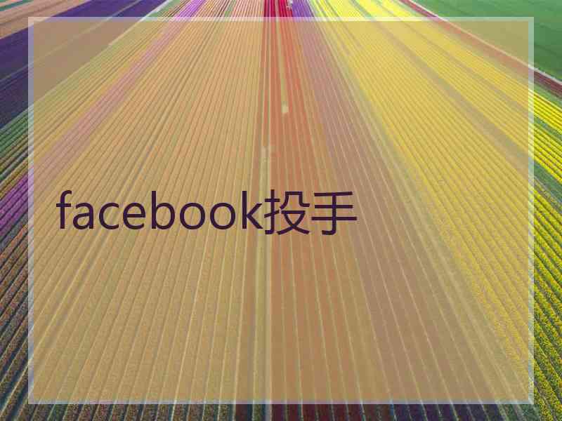 facebook投手