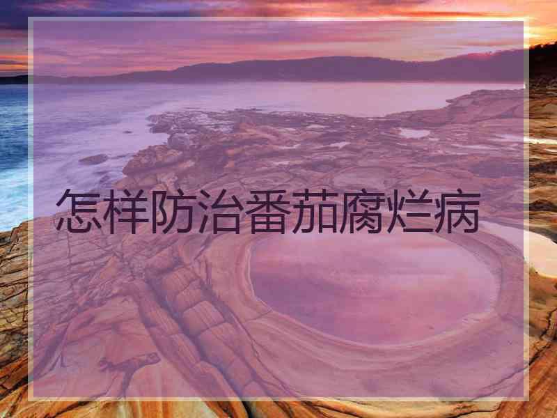 怎样防治番茄腐烂病