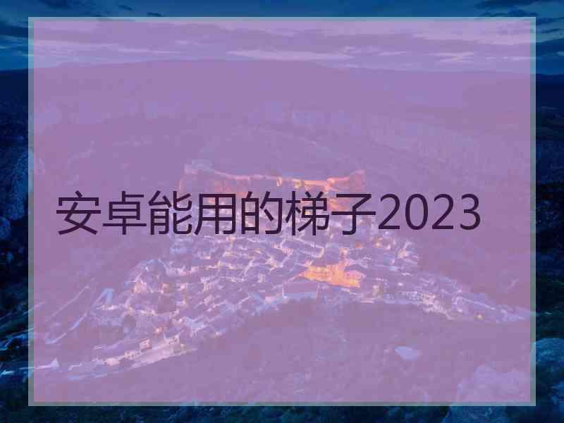 安卓能用的梯子2023