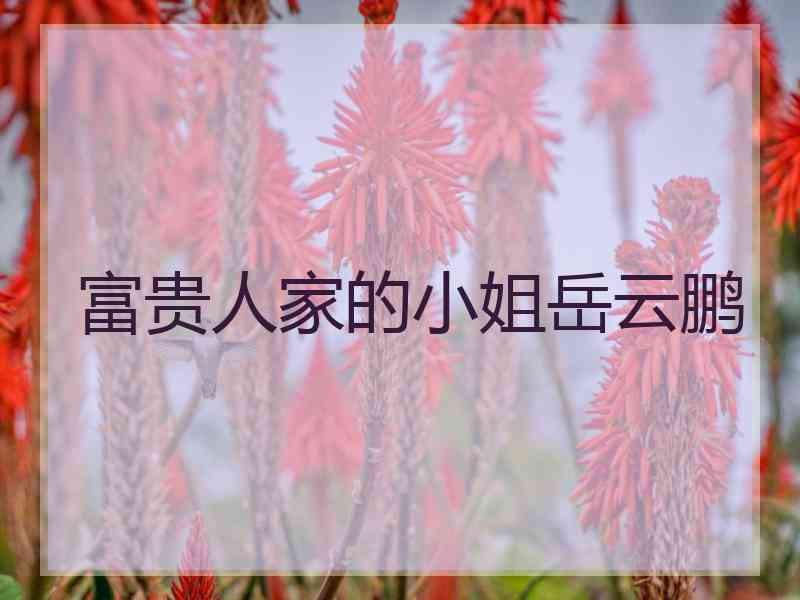 富贵人家的小姐岳云鹏
