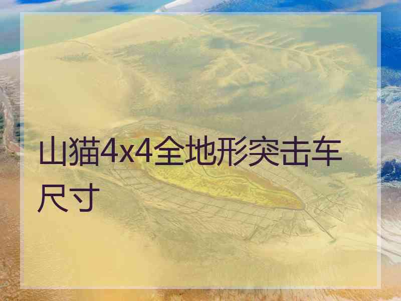 山猫4x4全地形突击车尺寸