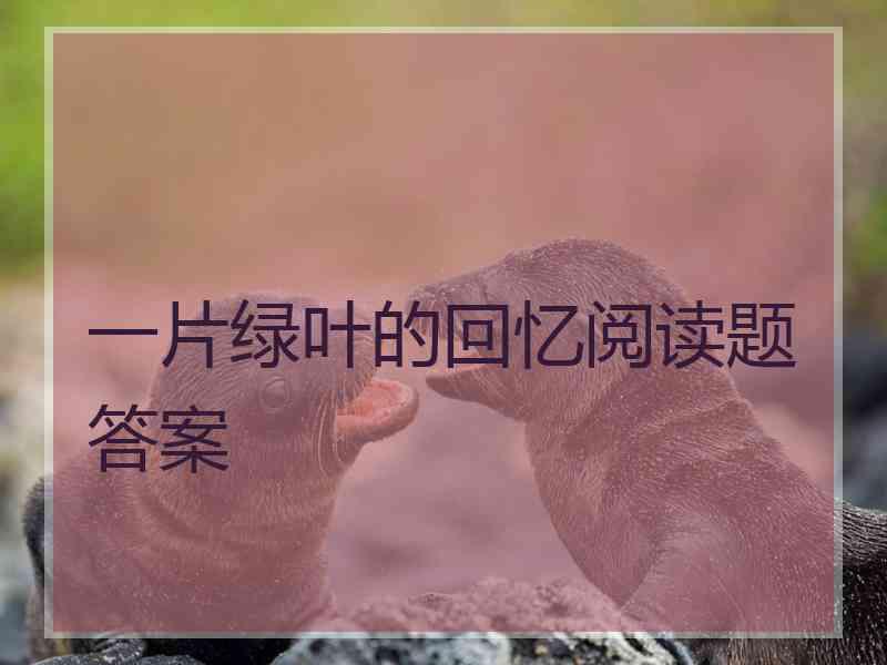一片绿叶的回忆阅读题答案