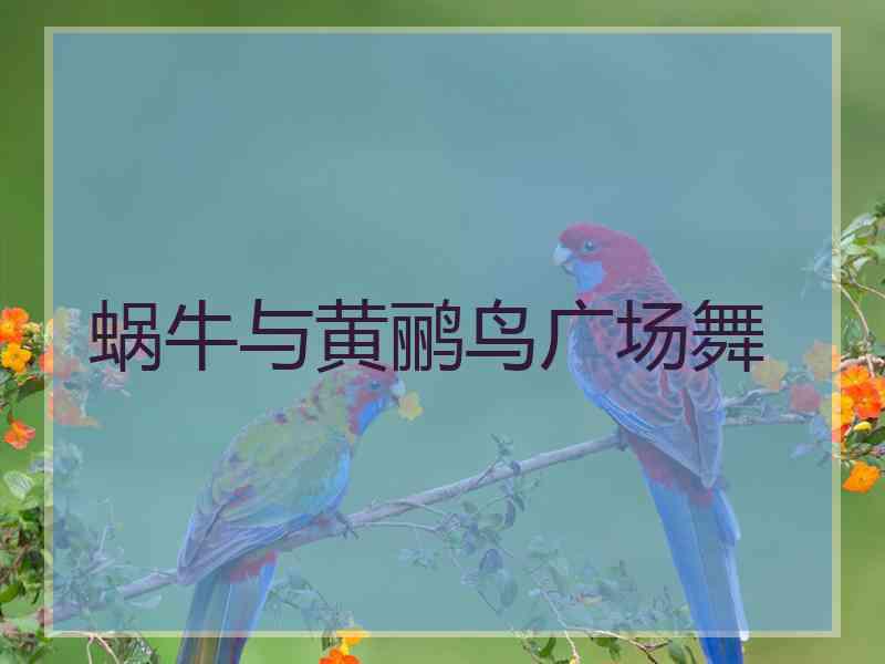 蜗牛与黄鹂鸟广场舞