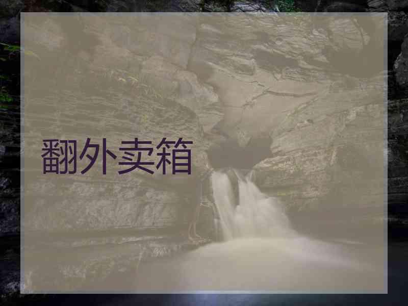翻外卖箱