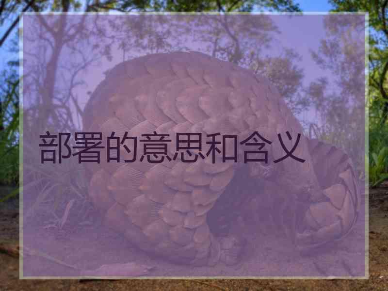 部署的意思和含义