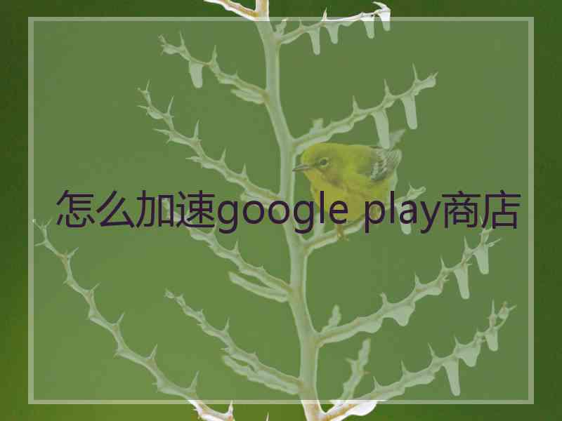 怎么加速google play商店