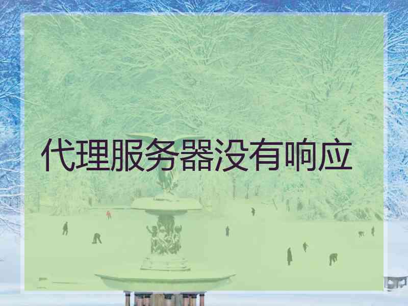 代理服务器没有响应