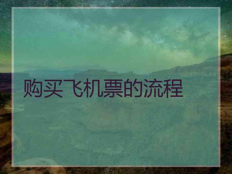 购买飞机票的流程