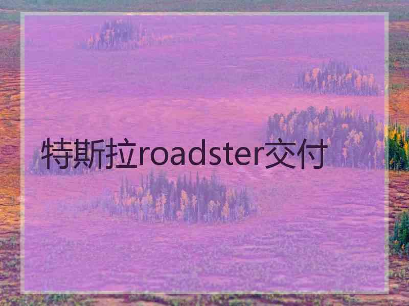 特斯拉roadster交付