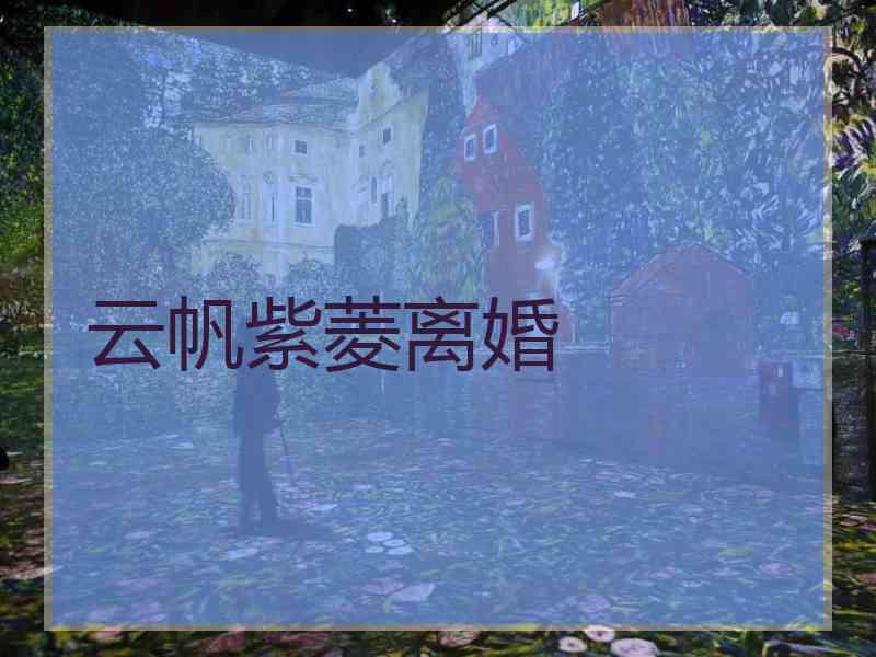 云帆紫菱离婚