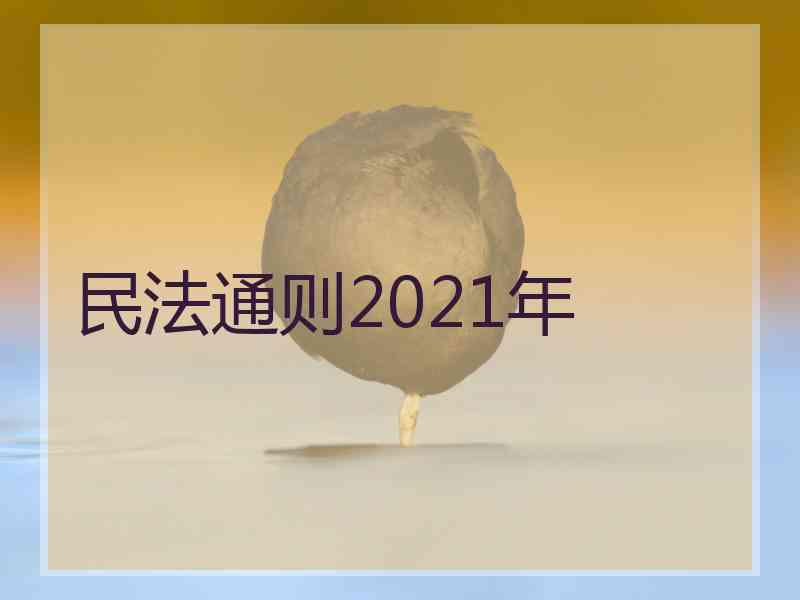 民法通则2021年
