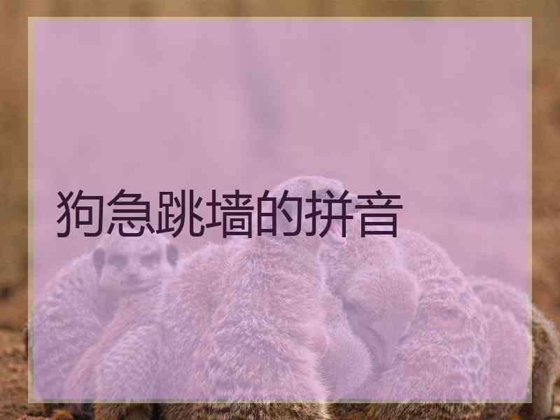 狗急跳墙的拼音