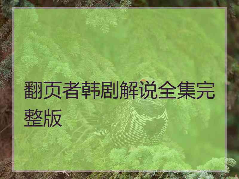 翻页者韩剧解说全集完整版