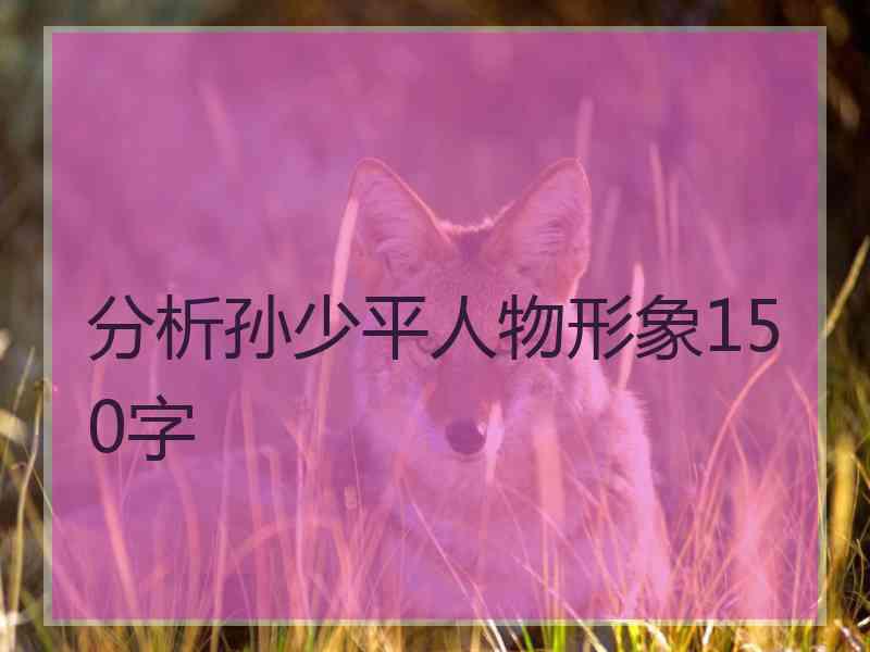 分析孙少平人物形象150字
