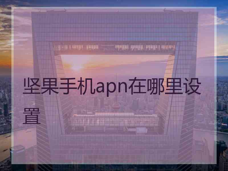 坚果手机apn在哪里设置
