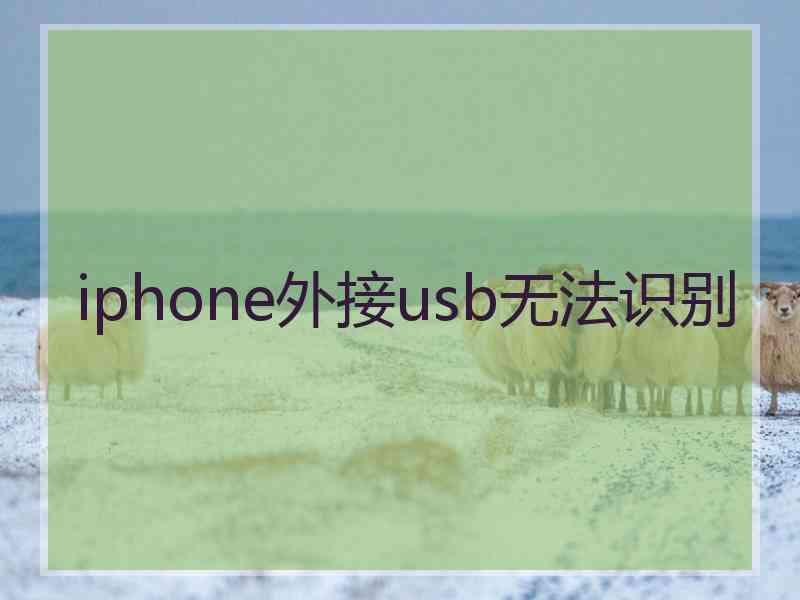 iphone外接usb无法识别