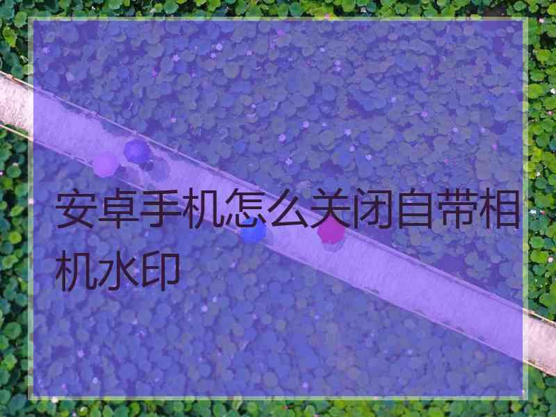 安卓手机怎么关闭自带相机水印