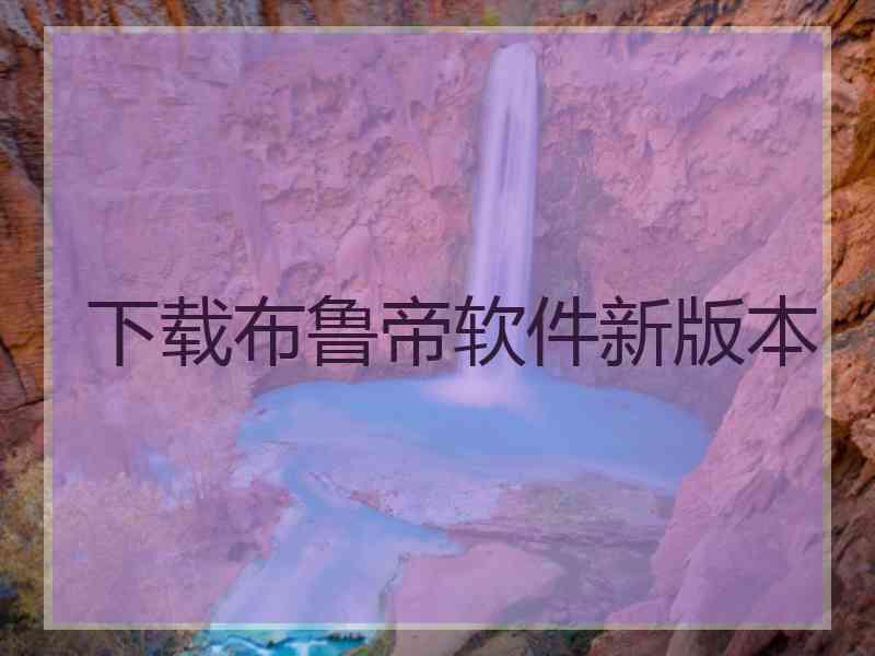下载布鲁帝软件新版本