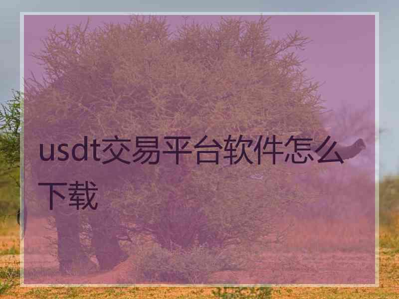 usdt交易平台软件怎么下载