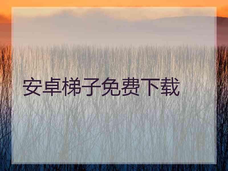 安卓梯子免费下载