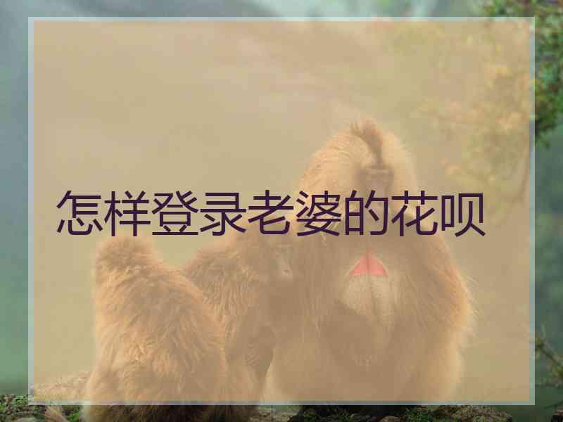 怎样登录老婆的花呗
