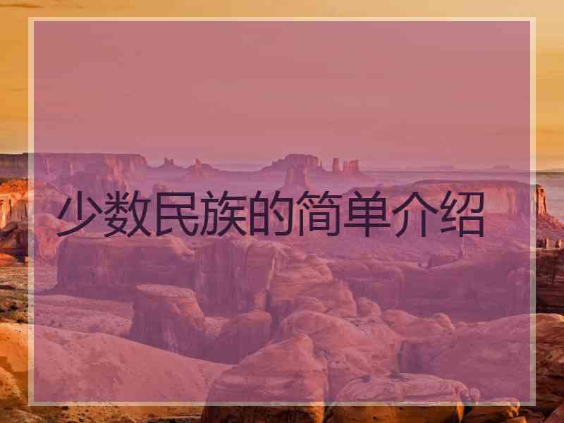 少数民族的简单介绍
