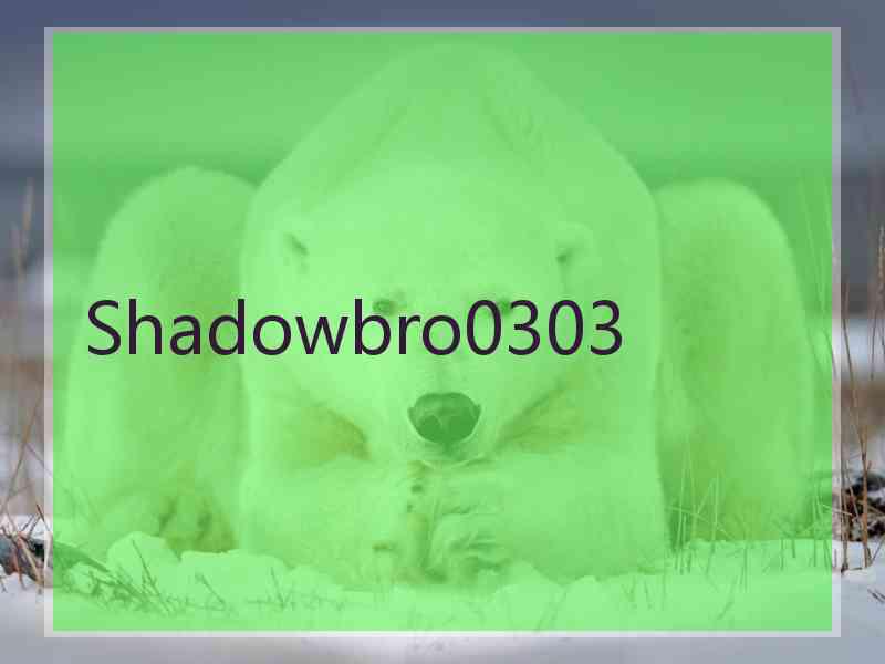 Shadowbro0303