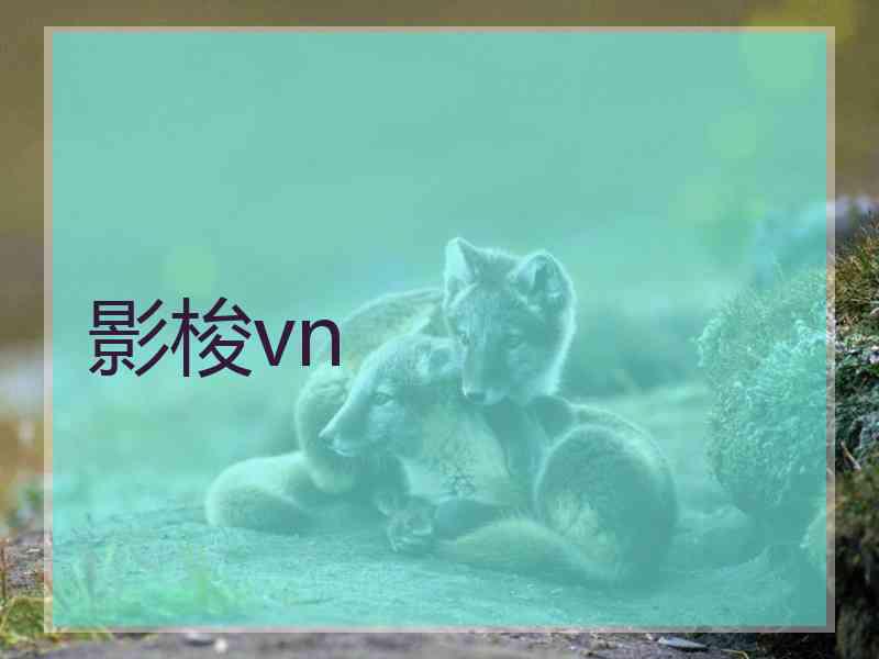 影梭vn