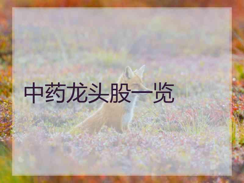 中药龙头股一览