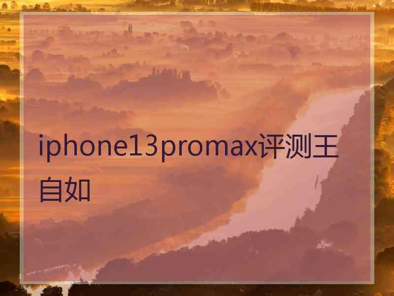 iphone13promax评测王自如
