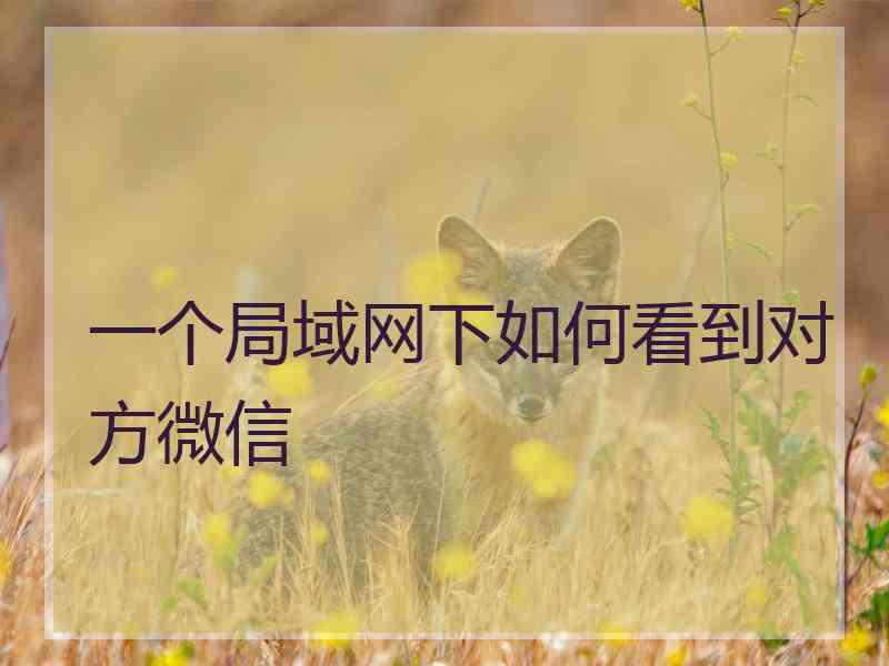 一个局域网下如何看到对方微信