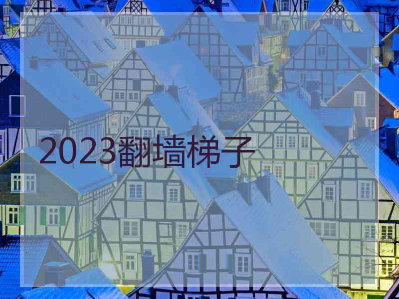 2023翻墙梯子
