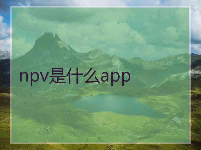 npv是什么app